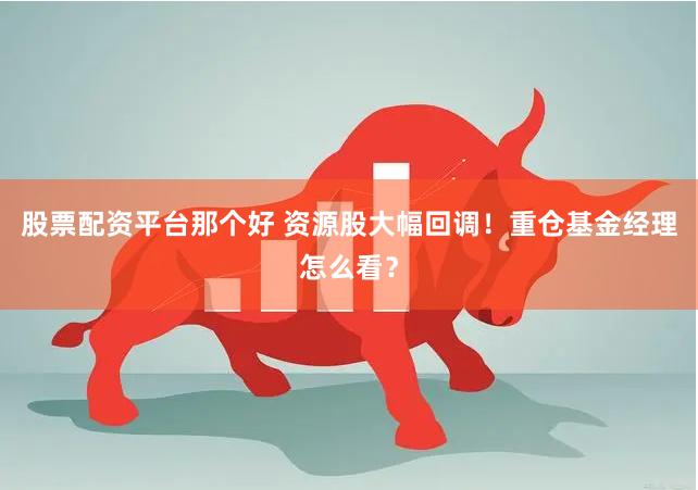 股票配资平台那个好 资源股大幅回调！重仓基金经理怎么看？