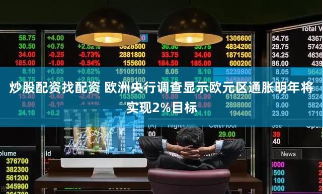 炒股配资找配资 欧洲央行调查显示欧元区通胀明年将实现2%目标