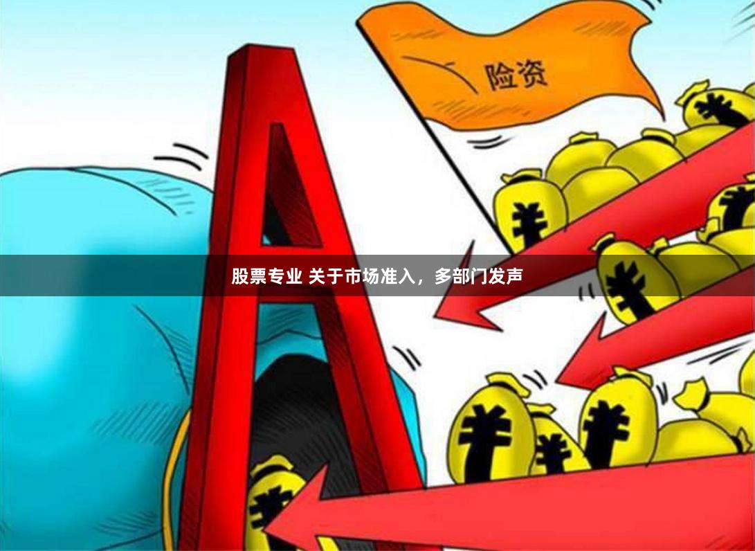 股票专业 关于市场准入，多部门发声
