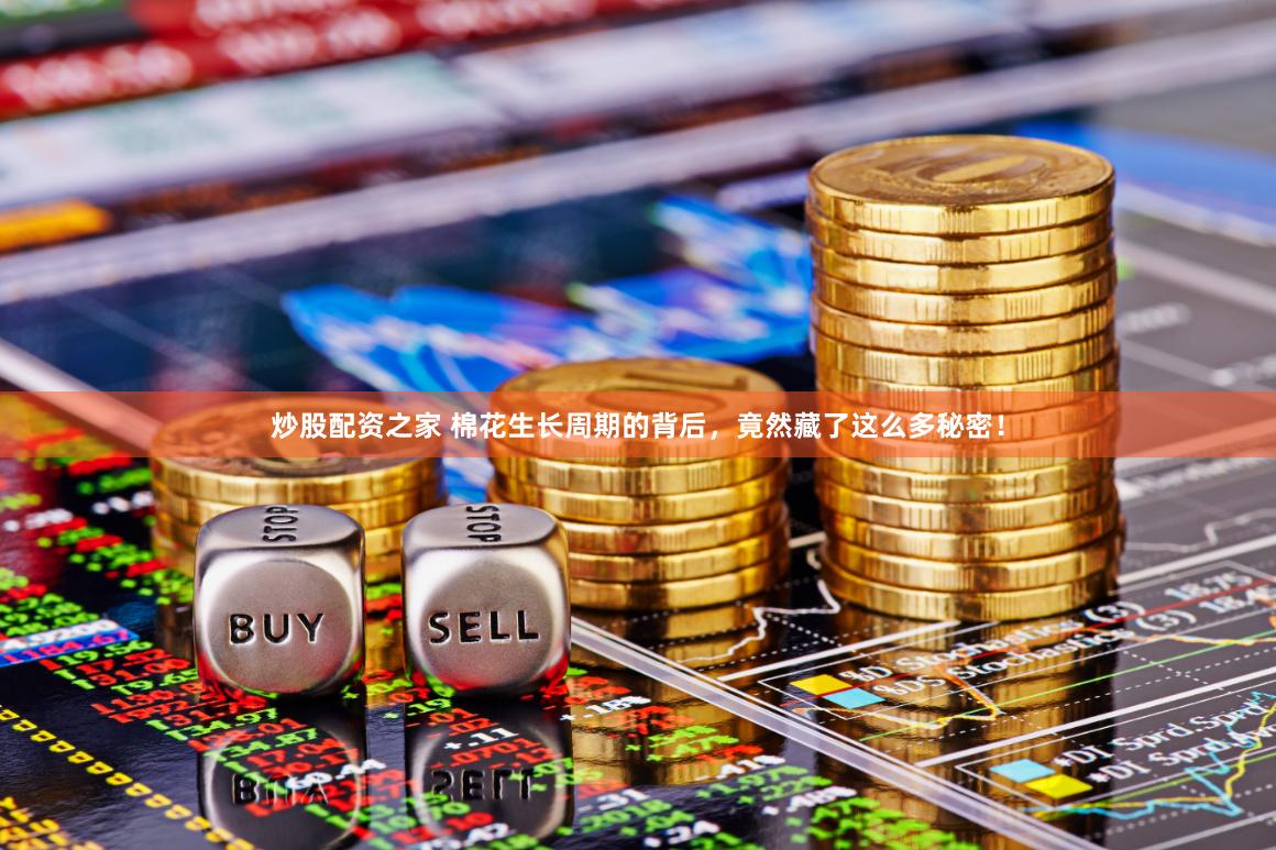 炒股配资之家 棉花生长周期的背后，竟然藏了这么多秘密！