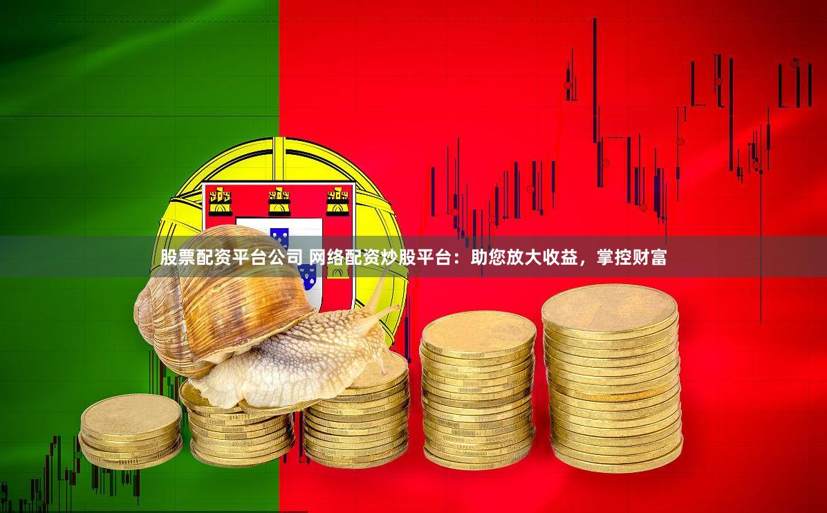 股票配资平台公司 网络配资炒股平台：助您放大收益，掌控财富